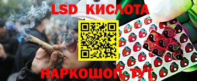 шишки Краснознаменск